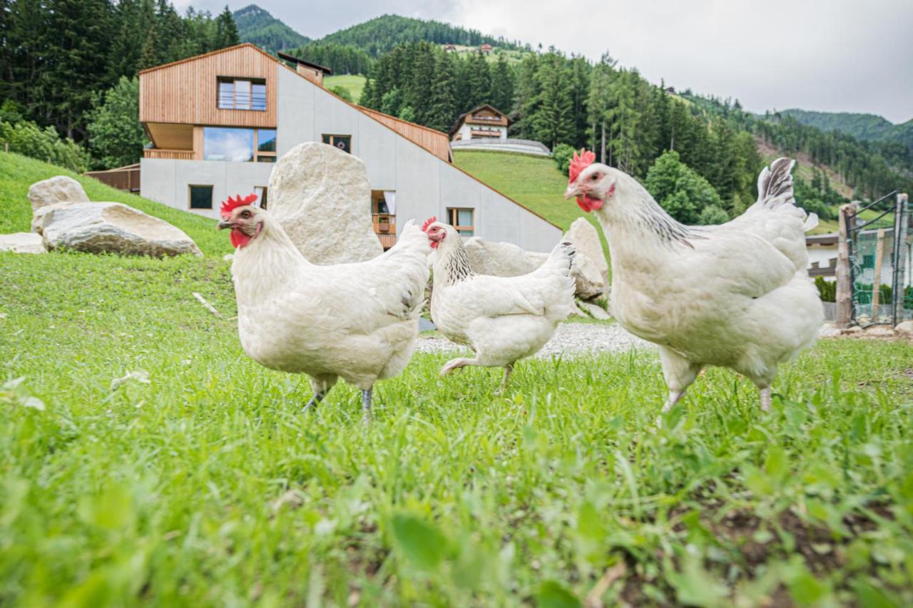 Koasa-Hof Ganzes Ferienhaus Und Sauna 5 Zimmer 240Mq Cadipietra Luaran gambar
